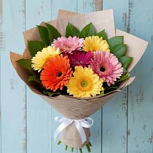 Букет цветов из:  Герберы #REPLACE_PRED# Восточный Тульская область