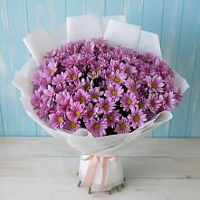 Букет цветов из:  Хризантемы #REPLACE_PRED# Восточный Тульская область