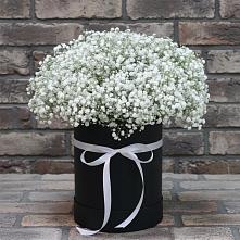 Цветочная композиция из Гипсофила в шляпной коробке #REPLACE_PRED# Восточный Тульская область